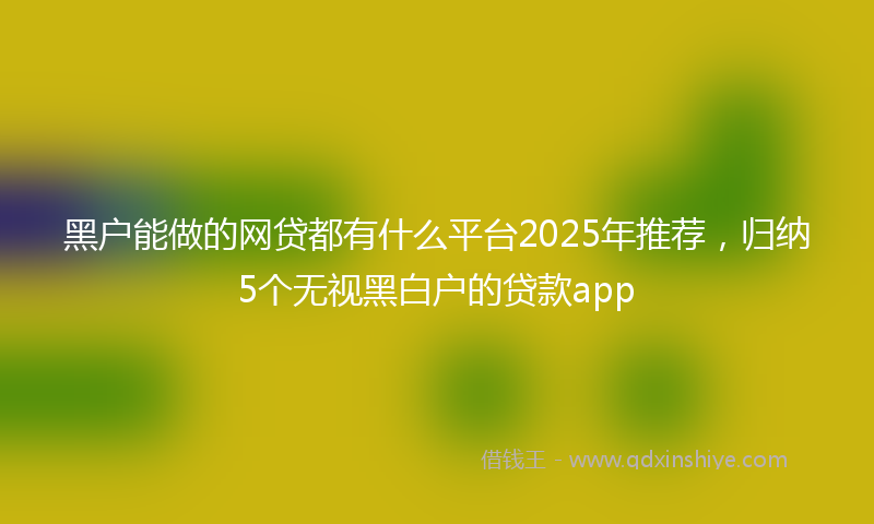 黑户能做的网贷都有什么平台2025年推荐，归纳5个无视黑白户的贷款app