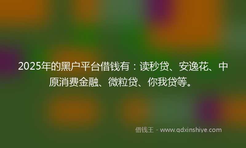 2025年的黑户平台借钱有：读秒贷、安逸花、中原消费金融、微粒贷、你我贷等。