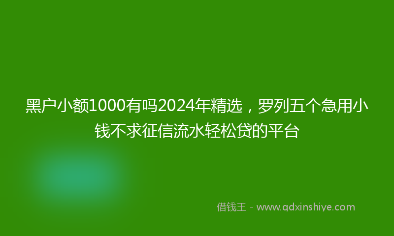 黑户小额1000有吗2024年精选，罗列五个急用小钱不求征信流水轻松贷的平台