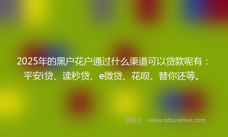 2025年的黑户花户通过什么渠道可以贷款呢有：平安i贷、读秒贷、e微贷、花呗、替你还等。