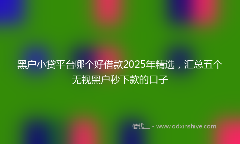 黑户小贷平台哪个好借款2025年精选，汇总五个无视黑户秒下款的口子