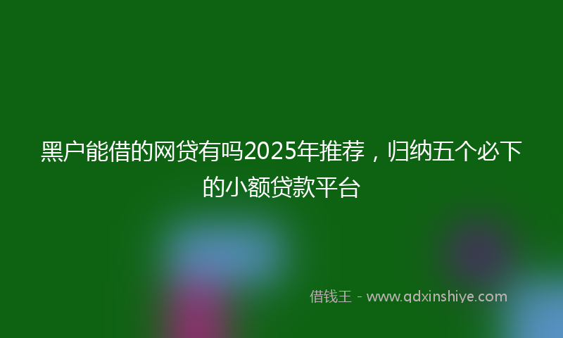 黑户能借的网贷有吗2025年推荐，归纳五个必下的小额贷款平台