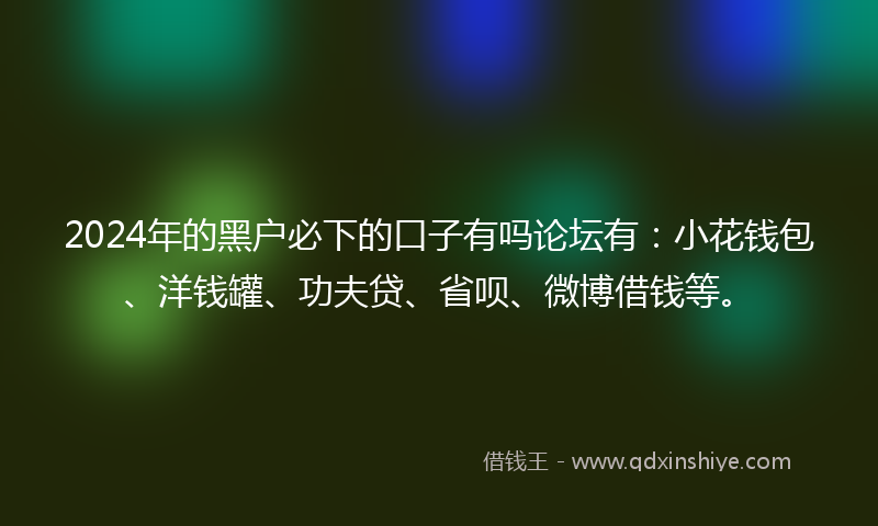 2024年的黑户必下的口子有吗论坛有：小花钱包、洋钱罐、功夫贷、省呗、微博借钱等。