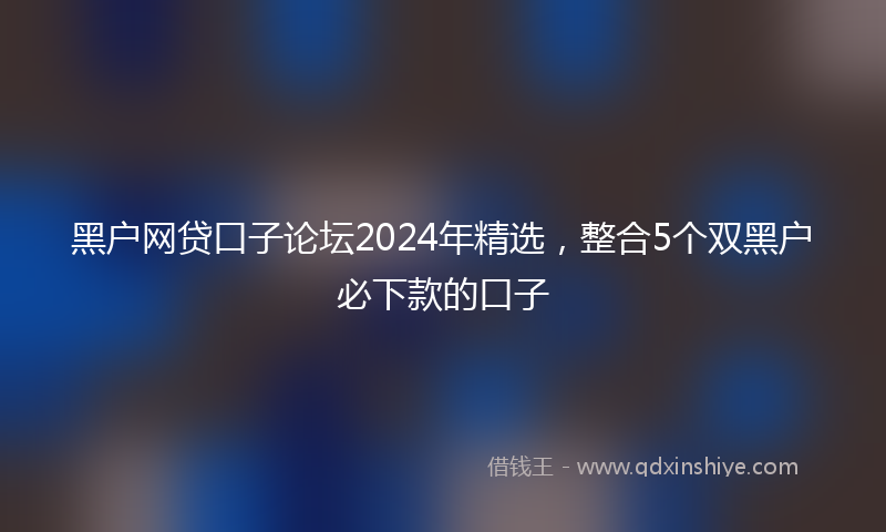 黑户网贷口子论坛2024年精选，整合5个双黑户必下款的口子