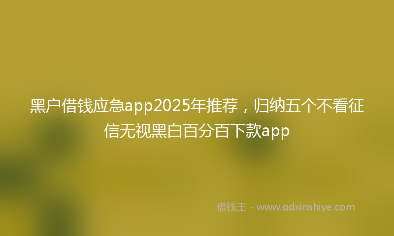 黑户借钱应急app2025年推荐，归纳五个不看征信无视黑白百分百下款app