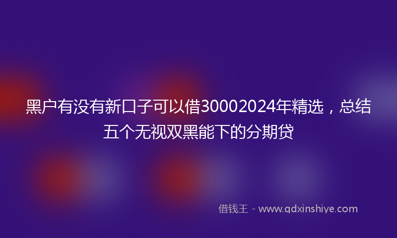 黑户有没有新口子可以借30002024年精选，总结五个无视双黑能下的分期贷