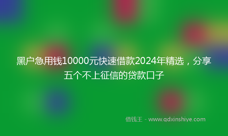 黑户急用钱10000元快速借款2024年精选，分享五个不上征信的贷款口子