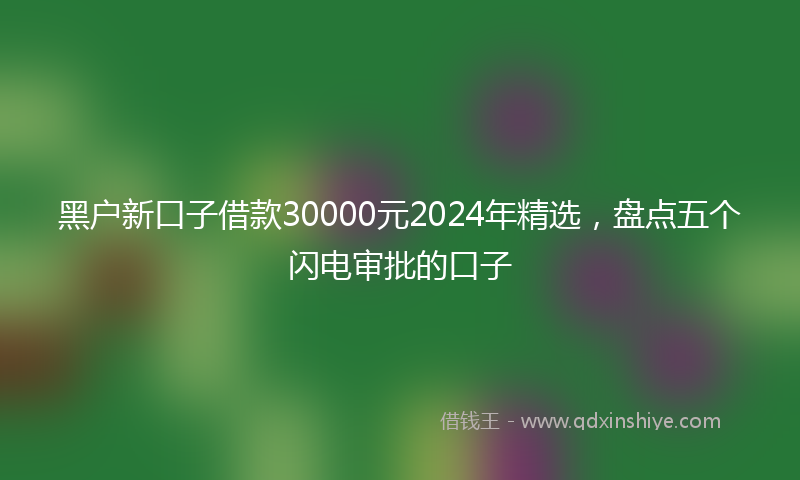 黑户新口子借款30000元2024年精选，盘点五个闪电审批的口子