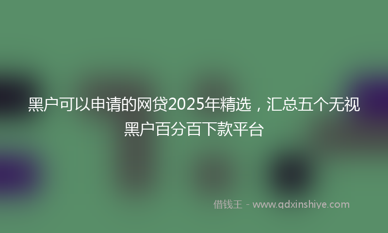 黑户可以申请的网贷2025年精选，汇总五个无视黑户百分百下款平台
