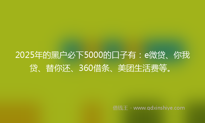 2025年的黑户必下5000的口子有：e微贷、你我贷、替你还、360借条、美团生活费等。