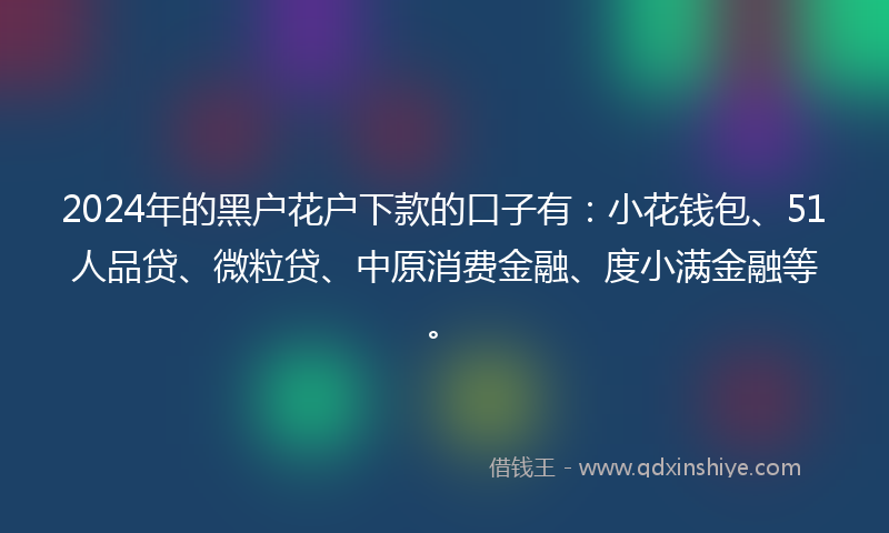 2024年的黑户花户下款的口子有：小花钱包、51人品贷、微粒贷、中原消费金融、度小满金融等。