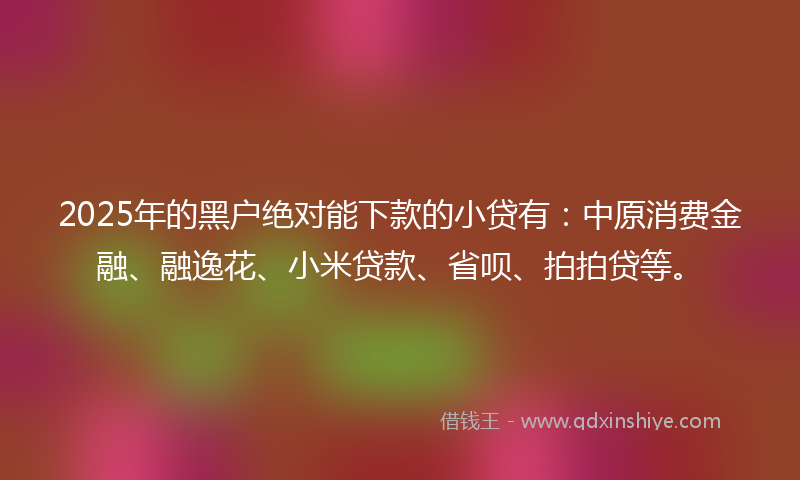 2025年的黑户绝对能下款的小贷有：中原消费金融、融逸花、小米贷款、省呗、拍拍贷等。