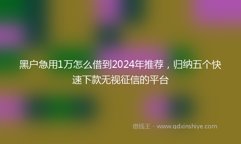 黑户急用1万怎么借到2024年推荐，归纳五个快速下款无视征信的平台