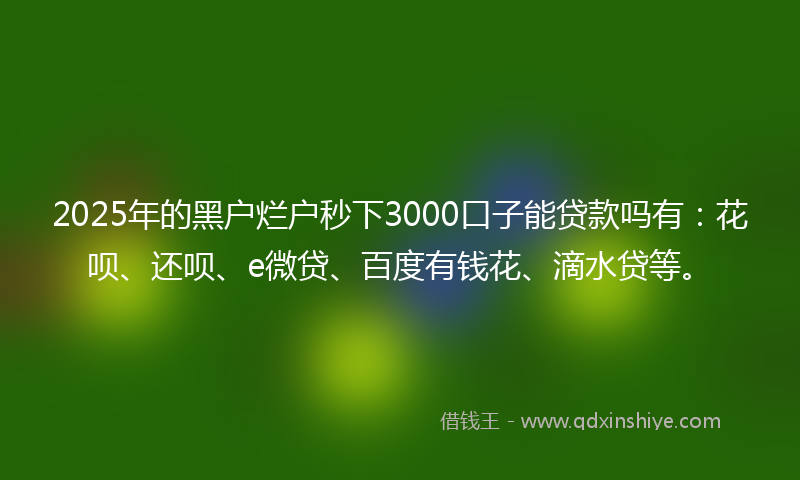 2025年的黑户烂户秒下3000口子能贷款吗有：花呗、还呗、e微贷、百度有钱花、滴水贷等。