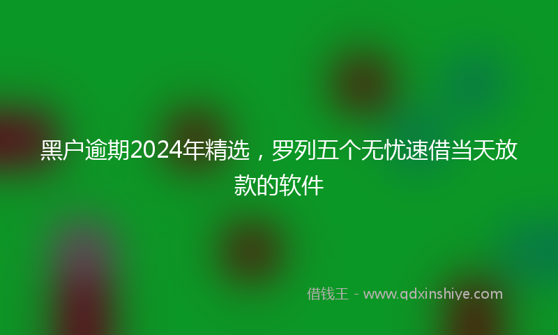 黑户逾期2024年精选，罗列五个无忧速借当天放款的软件