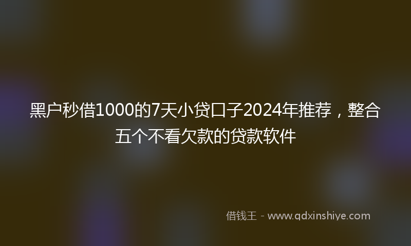 黑户秒借1000的7天小贷口子2024年推荐，整合五个不看欠款的贷款软件