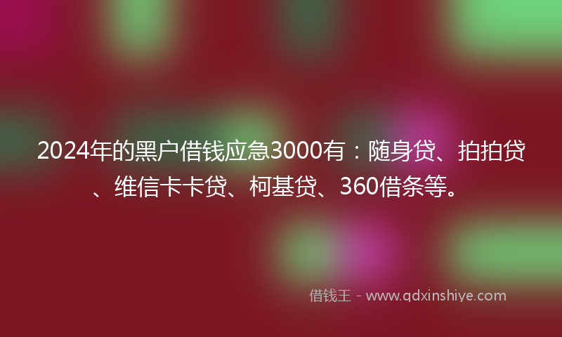 2024年的黑户借钱应急3000有：随身贷、拍拍贷、维信卡卡贷、柯基贷、360借条等。