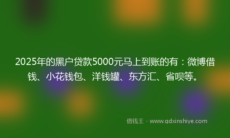 2025年的黑户贷款5000元马上到账的有：微博借钱、小花钱包、洋钱罐、东方汇、省呗等。