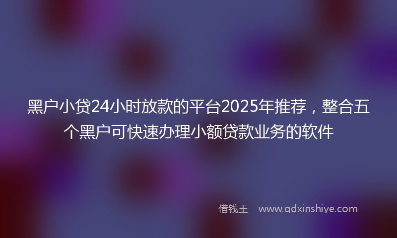 黑户小贷24小时放款的平台2025年推荐，整合五个黑户可快速办理小额贷款业务的软件