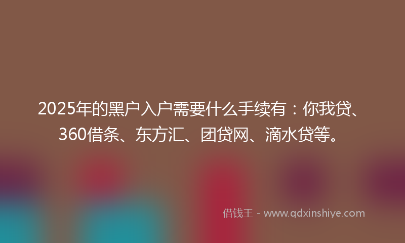 2025年的黑户入户需要什么手续有：你我贷、360借条、东方汇、团贷网、滴水贷等。