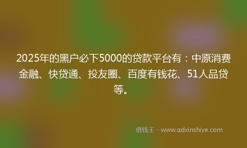 2025年的黑户必下5000的贷款平台有：中原消费金融、快贷通、投友圈、百度有钱花、51人品贷等。