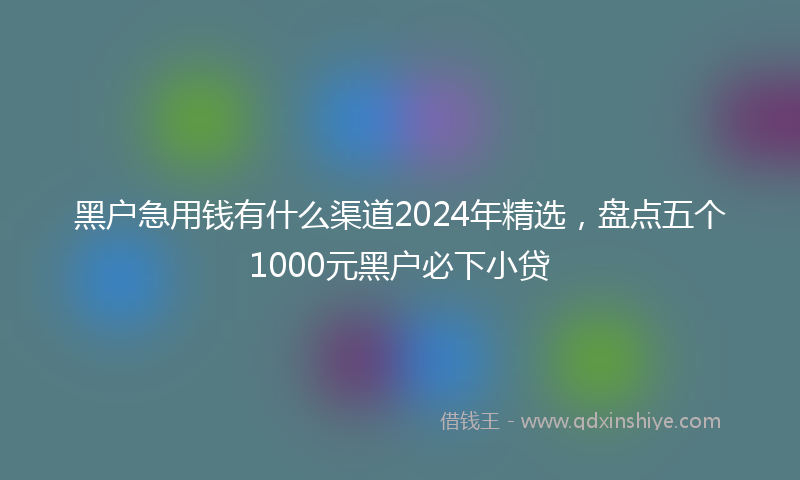 黑户急用钱有什么渠道2024年精选，盘点五个1000元黑户必下小贷