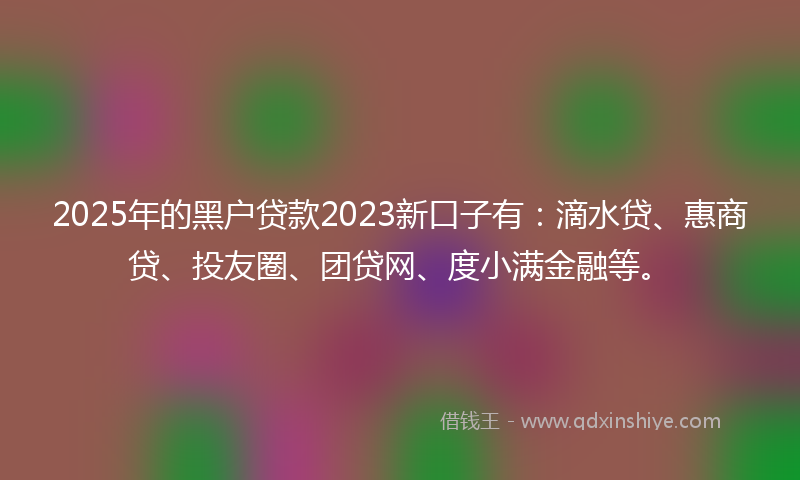 2025年的黑户贷款2023新口子有：滴水贷、惠商贷、投友圈、团贷网、度小满金融等。