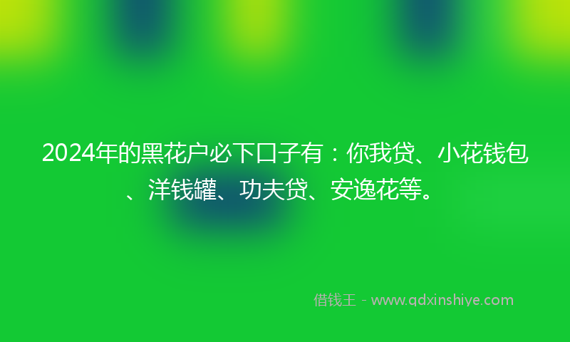 2024年的黑花户必下口子有：你我贷、小花钱包、洋钱罐、功夫贷、安逸花等。