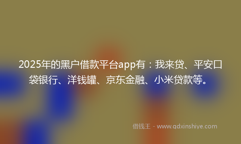 2025年的黑户借款平台app有：我来贷、平安口袋银行、洋钱罐、京东金融、小米贷款等。