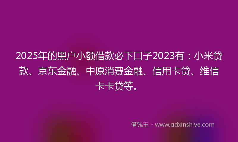 2025年的黑户小额借款必下口子2023有：小米贷款、京东金融、中原消费金融、信用卡贷、维信卡卡贷等。