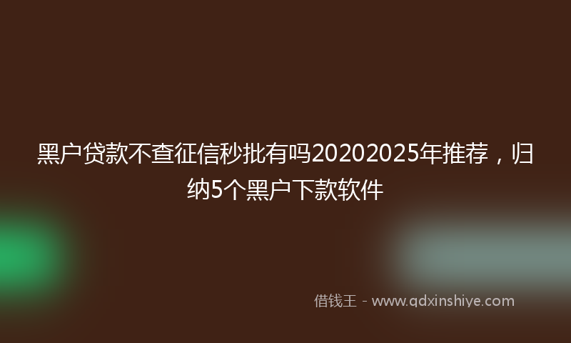 黑户贷款不查征信秒批有吗20202025年推荐，归纳5个黑户下款软件