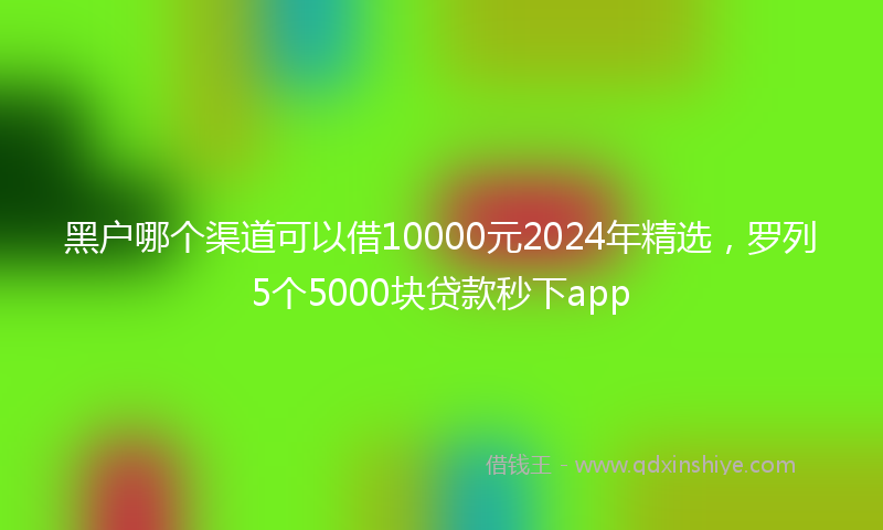 黑户哪个渠道可以借10000元2024年精选，罗列5个5000块贷款秒下app