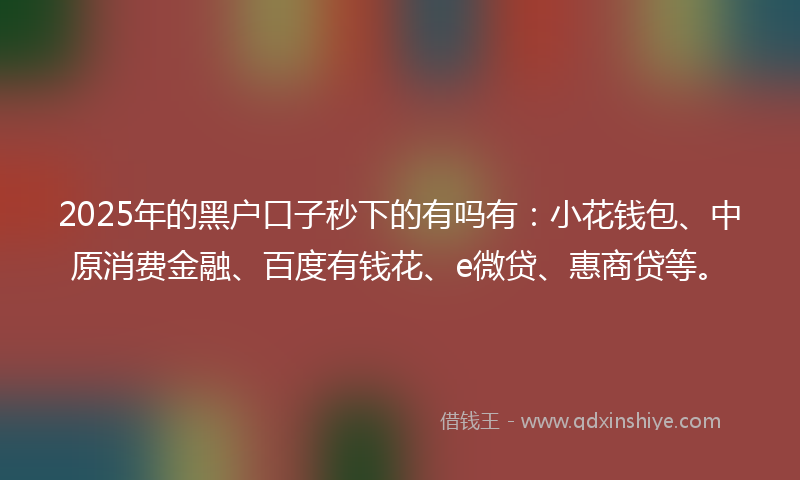 2025年的黑户口子秒下的有吗有：小花钱包、中原消费金融、百度有钱花、e微贷、惠商贷等。
