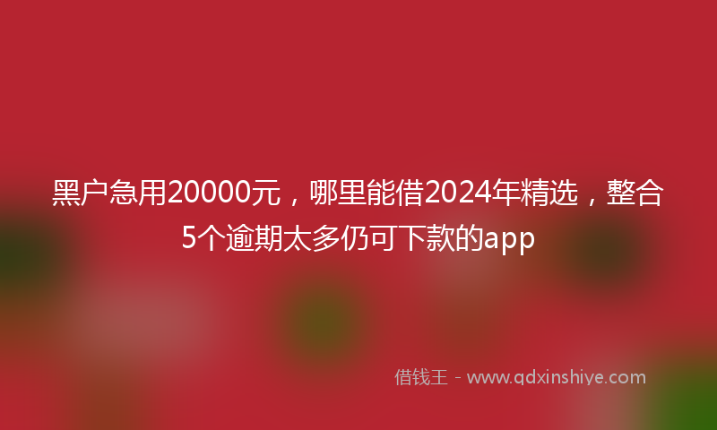 黑户急用20000元，哪里能借2024年精选，整合5个逾期太多仍可下款的app