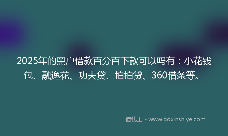 2025年的黑户借款百分百下款可以吗有：小花钱包、融逸花、功夫贷、拍拍贷、360借条等。