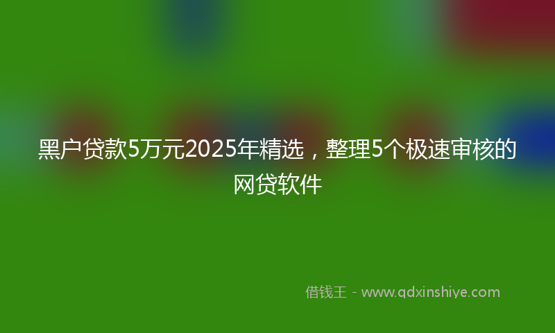 黑户贷款5万元2025年精选，整理5个极速审核的网贷软件