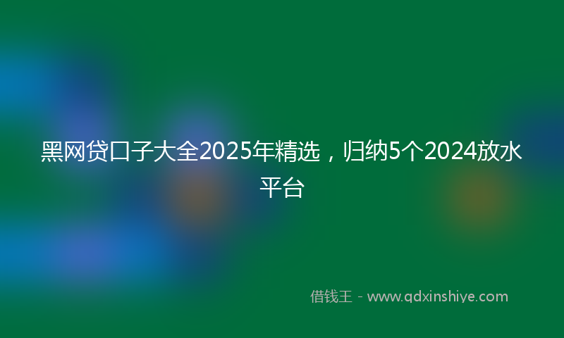 黑网贷口子大全2025年精选，归纳5个2024放水平台