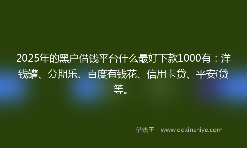 2025年的黑户借钱平台什么最好下款1000有：洋钱罐、分期乐、百度有钱花、信用卡贷、平安i贷等。
