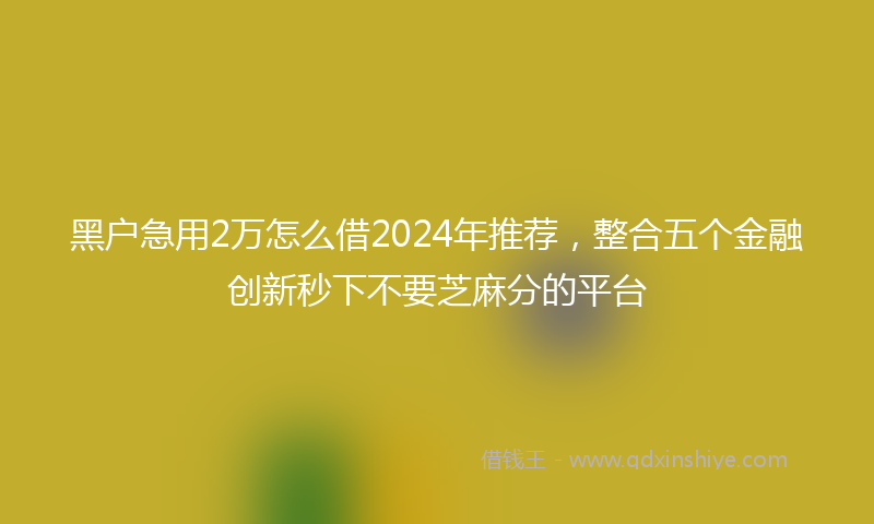 黑户急用2万怎么借2024年推荐，整合五个金融创新秒下不要芝麻分的平台
