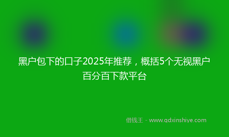 黑户包下的口子2025年推荐，概括5个无视黑户百分百下款平台