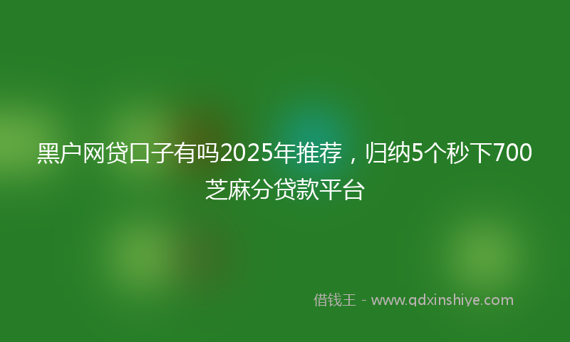 黑户网贷口子有吗2025年推荐，归纳5个秒下700芝麻分贷款平台