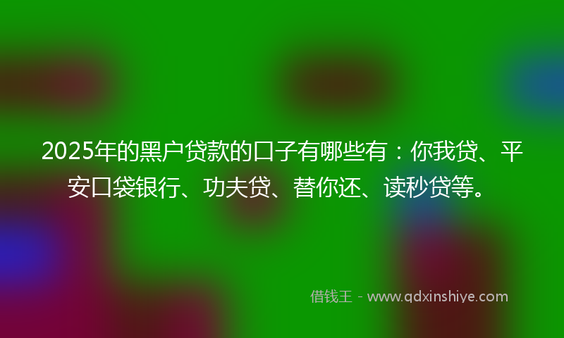 2025年的黑户贷款的口子有哪些有：你我贷、平安口袋银行、功夫贷、替你还、读秒贷等。