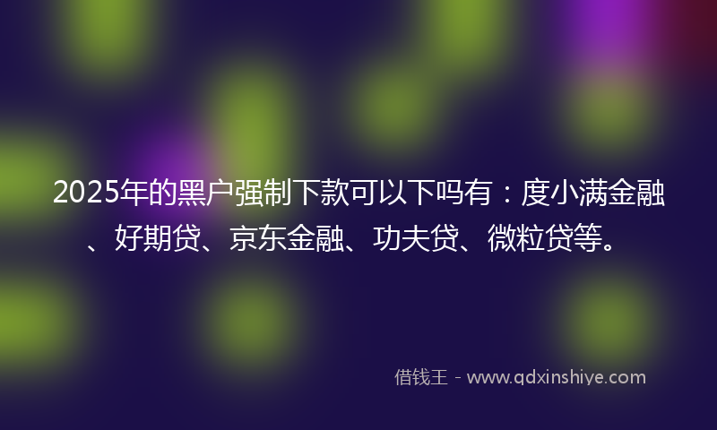 2025年的黑户强制下款可以下吗有：度小满金融、好期贷、京东金融、功夫贷、微粒贷等。