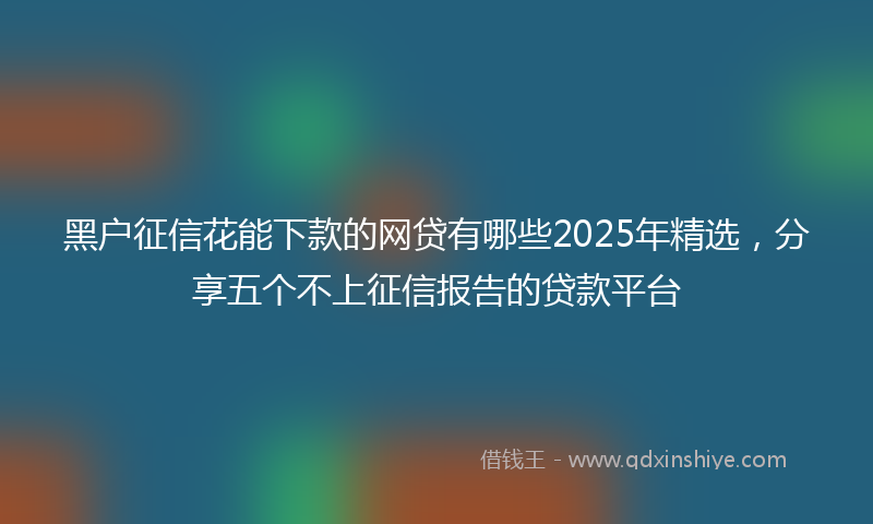 黑户征信花能下款的网贷有哪些2025年精选，分享五个不上征信报告的贷款平台