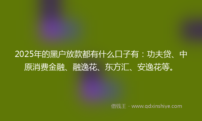 2025年的黑户放款都有什么口子有：功夫贷、中原消费金融、融逸花、东方汇、安逸花等。