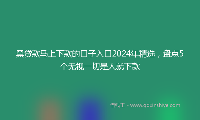 黑贷款马上下款的口子入口2024年精选，盘点5个无视一切是人就下款