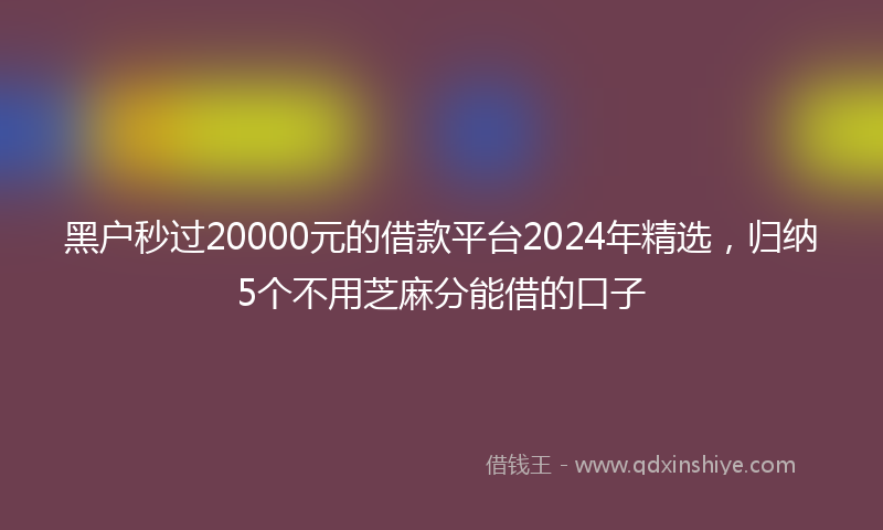 黑户秒过20000元的借款平台2024年精选，归纳5个不用芝麻分能借的口子