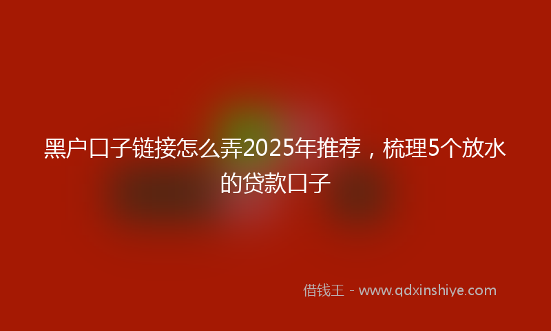 黑户口子链接怎么弄2025年推荐，梳理5个放水的贷款口子