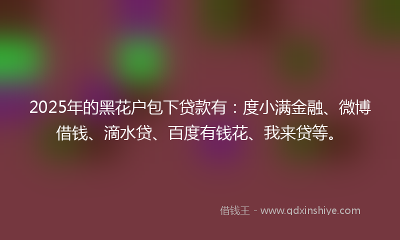 2025年的黑花户包下贷款有：度小满金融、微博借钱、滴水贷、百度有钱花、我来贷等。