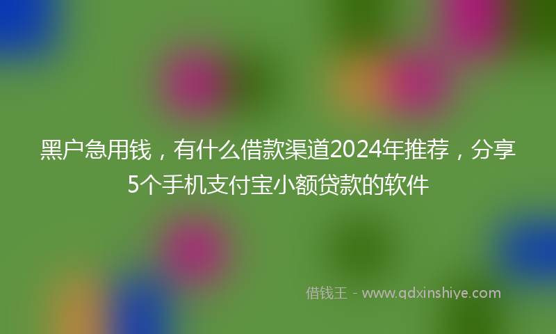 黑户急用钱，有什么借款渠道2024年推荐，分享5个手机支付宝小额贷款的软件